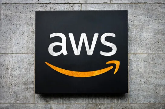 AWS Bedrock vs Custom Models